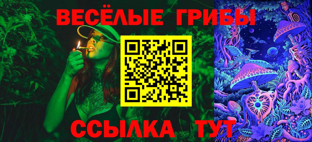 Псилоцибиновые грибы мицелий Александров