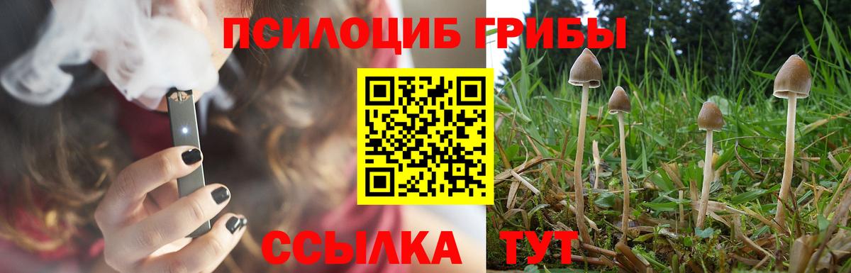Псилоцибиновые грибы мухоморы  Вход с VPN  Галлюциногенные грибы мухоморы  Александров 